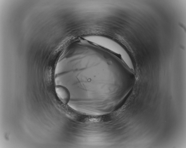 X0000099960163200806131518