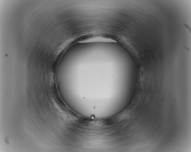 X0000099960164200806131518