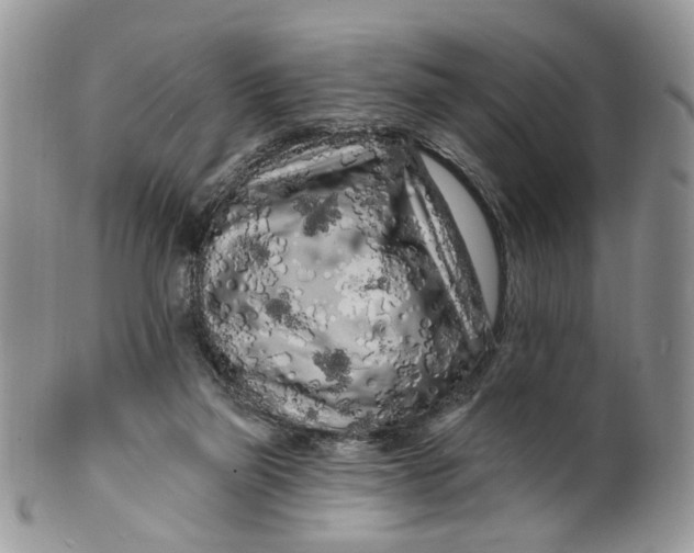 X0000099960165200806131518