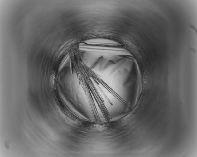 X0000099960166200806131518