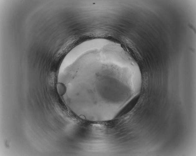 X0000099960167200806131518