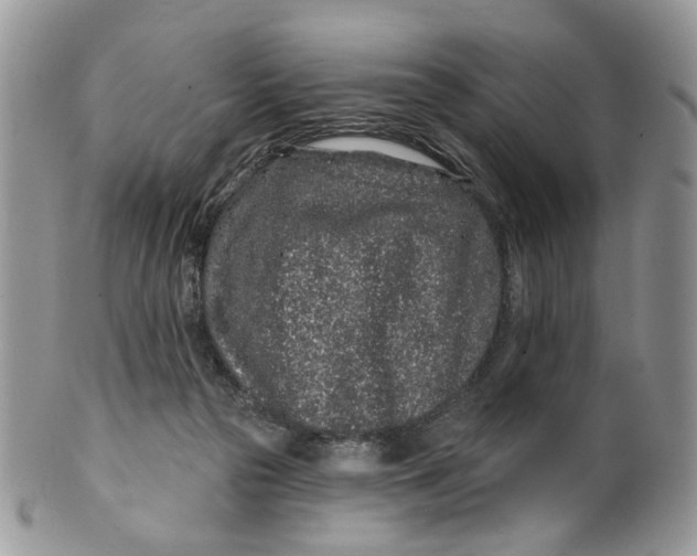 X0000099960169200806131518