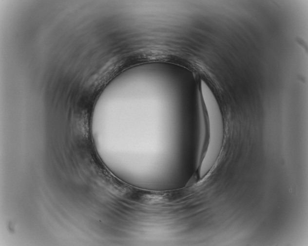 X0000099960170200806131518