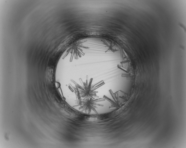 X0000099960171200806131518