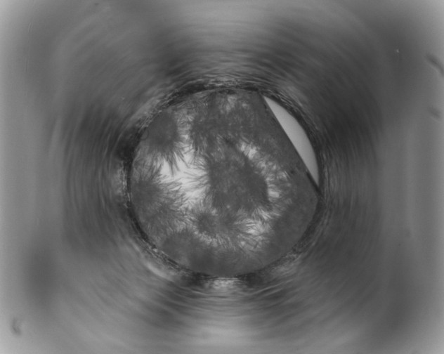 X0000099960173200806131518