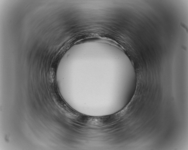 X0000099960174200806131518