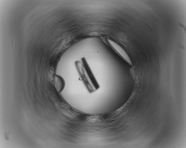 X0000099960175200806131518