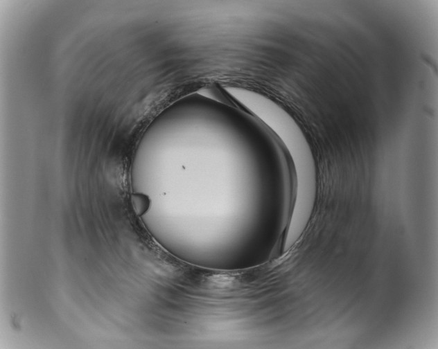 X0000099960176200806131518