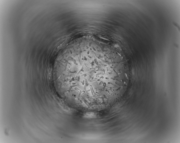 X0000099960177200806131518