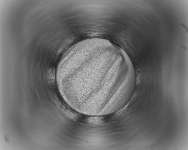 X0000099960179200806131518