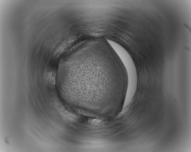 X0000099960180200806131518