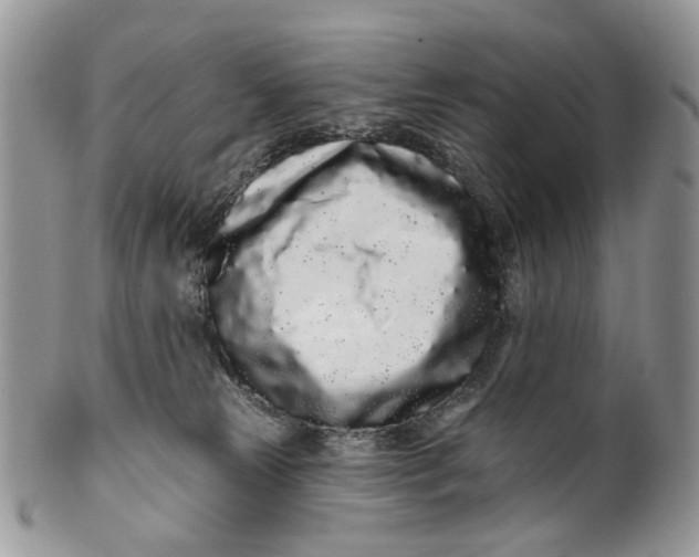 X0000099960181200806131518