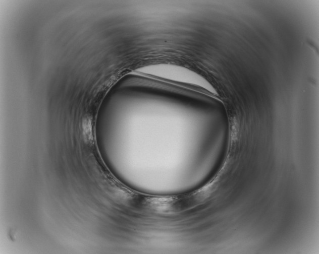 X0000099960182200806131518