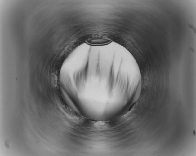 X0000099960183200806131518