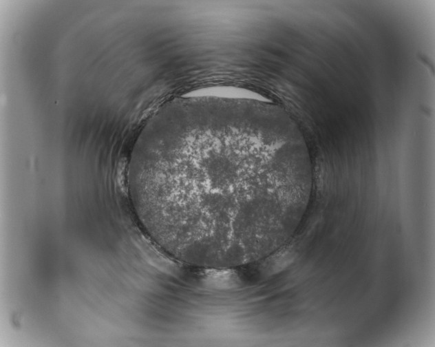 X0000099960185200806131518