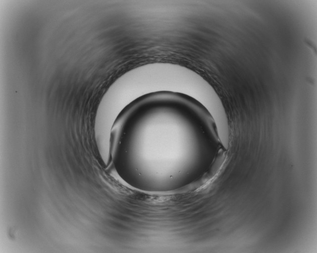 X0000099960186200806131518