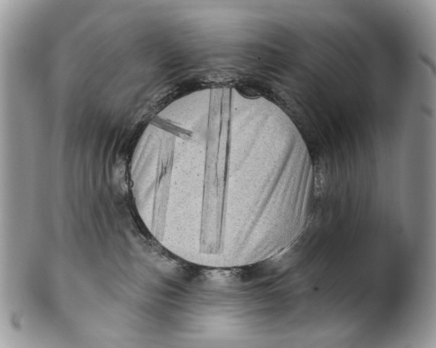 X0000099960187200806131518