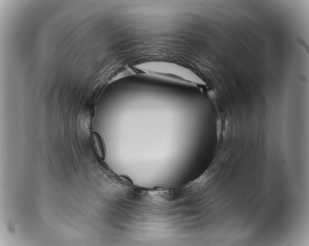 X0000099960188200806131518