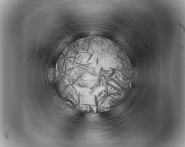 X0000099960189200806131518