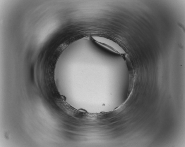 X0000099960190200806131518