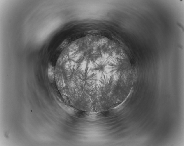 X0000099960191200806131518