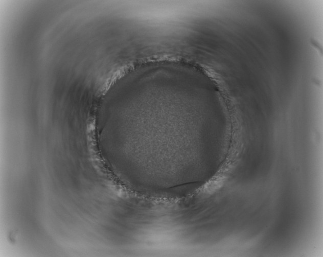 X0000099960192200806131518