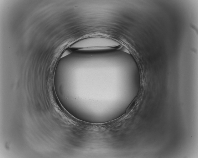 X0000099960193200806131518