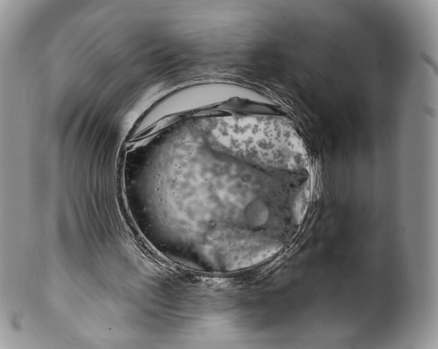 X0000099960195200806131517