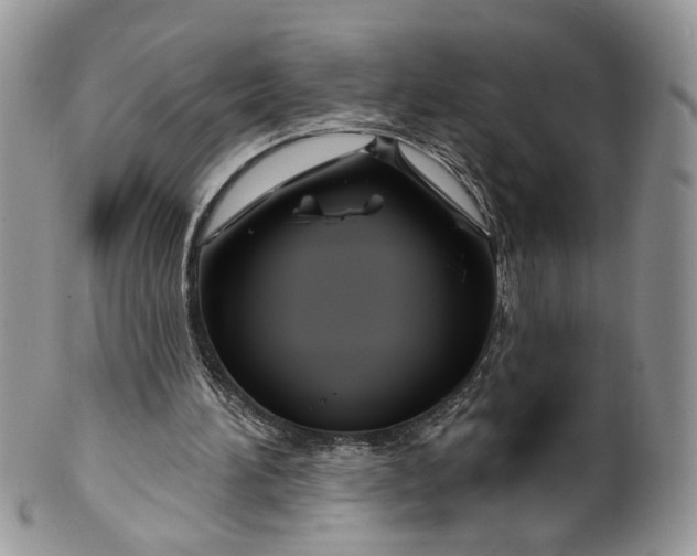 X0000099960196200806131517