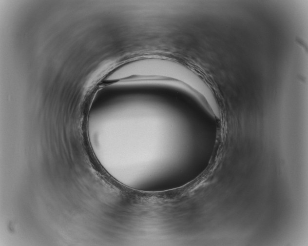 X0000099960197200806131517