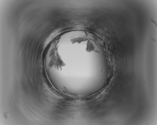 X0000099960198200806131517