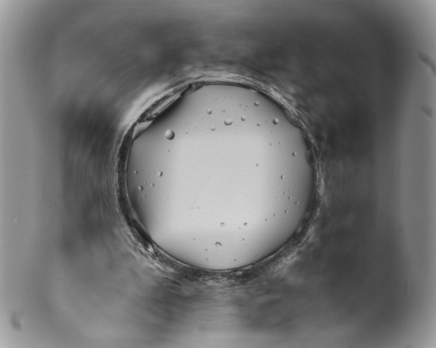 X0000099960199200806131517