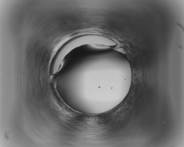 X0000099960200200806131517