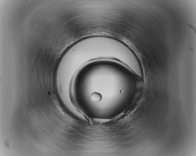 X0000099960201200806131517