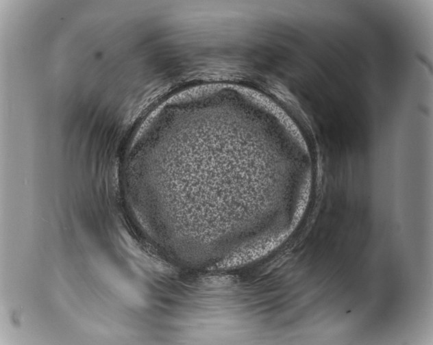 X0000099960202200806131517