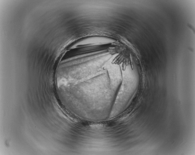 X0000099960203200806131517