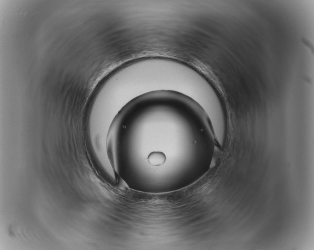 X0000099960204200806131517