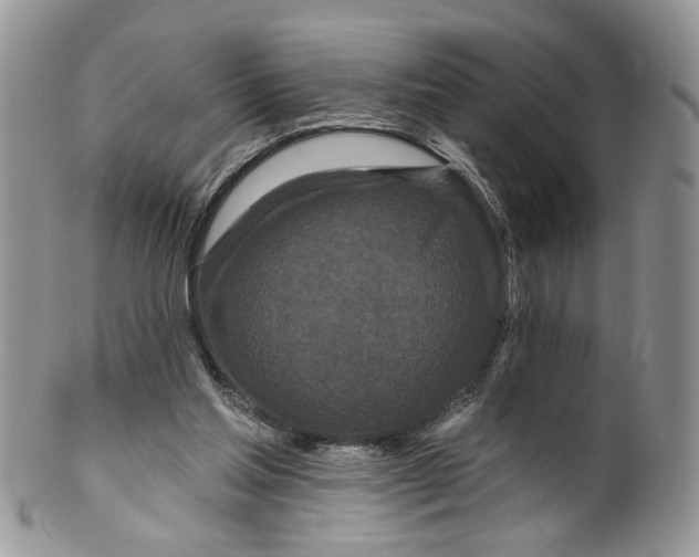 X0000099960205200806131517