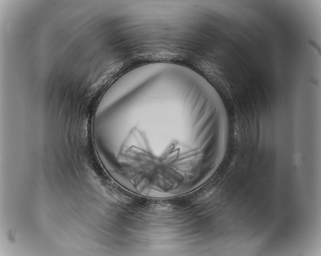 X0000099960206200806131517