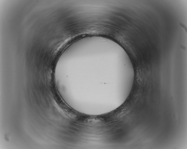 X0000099960208200806131517