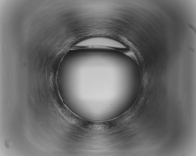 X0000099960209200806131517