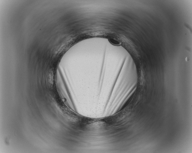 X0000099960210200806131517