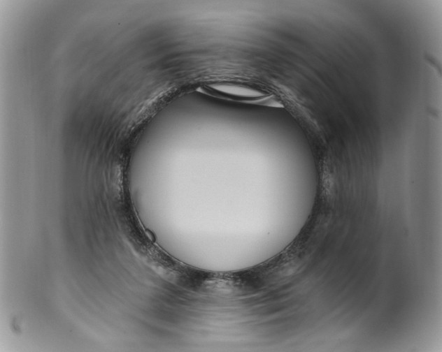 X0000099960211200806131517