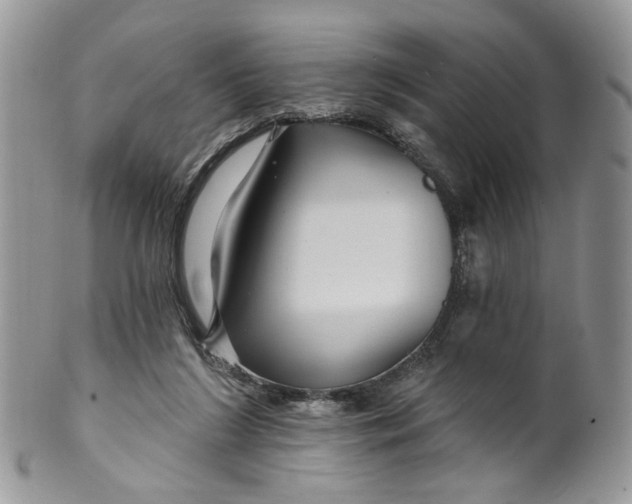 X0000099960212200806131517