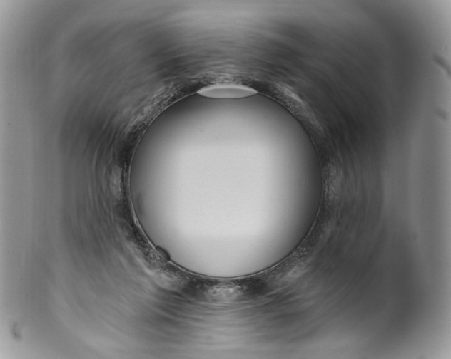 X0000099960213200806131517