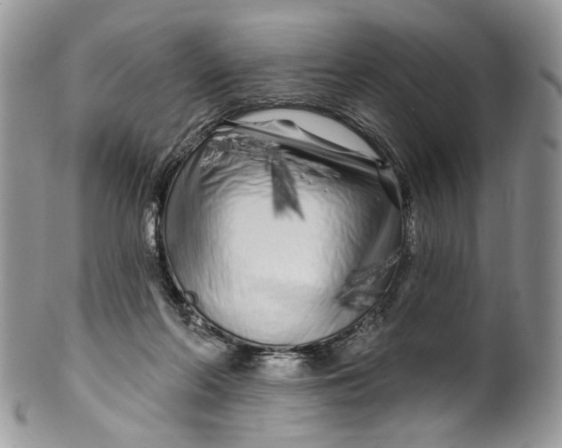 X0000099960214200806131517