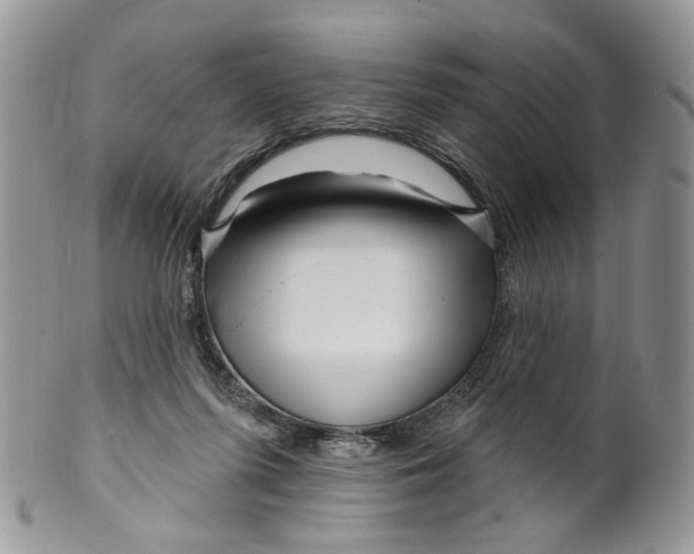 X0000099960215200806131517