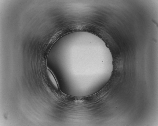 X0000099960216200806131517