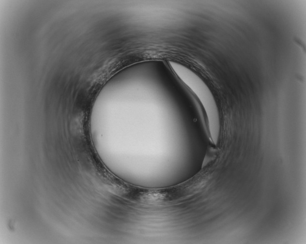 X0000099960217200806131517