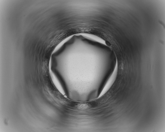 X0000099960218200806131517